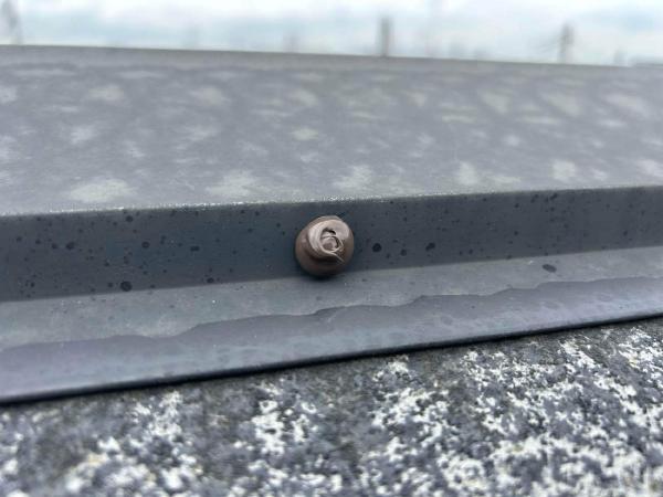 柏市　広島建設セナリオハウス　サイディング　コロニアルクアッド