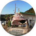 ホッシーホッシー profile picture