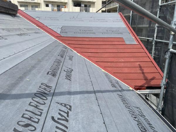 柏市　外壁屋根塗装工事のシャイン　我孫子市 外壁塗装と屋根カバー工事　ナノコンポジット　ディプロマットスター　本体加工設置