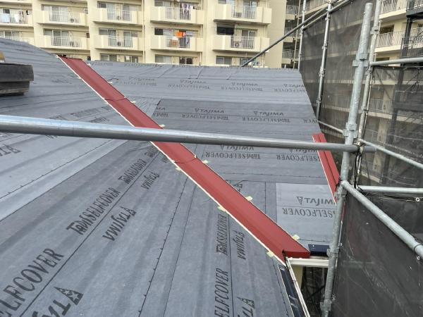 柏市　外壁屋根塗装工事のシャイン　我孫子市 外壁塗装と屋根カバー工事　ナノコンポジット　ディプロマットスター　役物取付け　谷板金