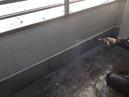 千葉県柏市M様邸の外壁塗装と屋根塗装工程：高圧洗浄
