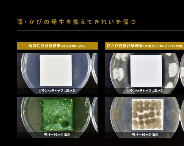 グランセラトップの防藻・防かび性能に関するメーカー試験図