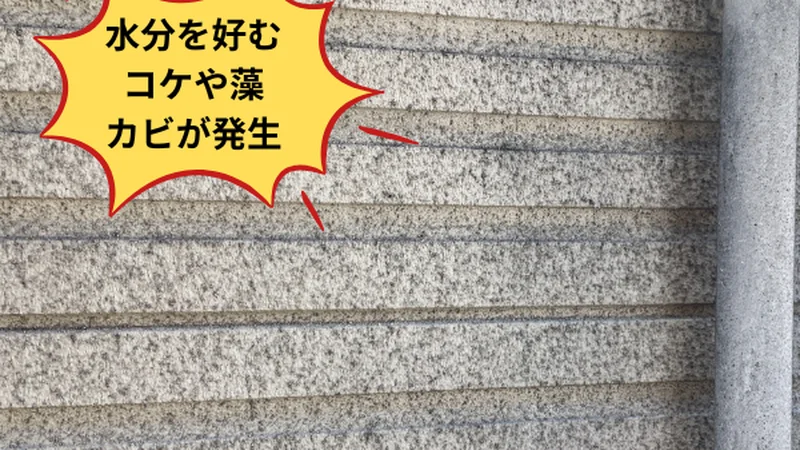 松戸市の住宅密集地・北面外壁で確認された湿気と日当たり不良によるコケ・藻・カビの繁殖現場実写真