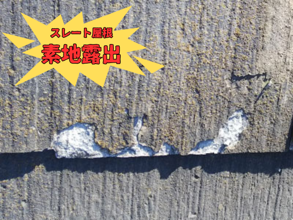 外装屋根塗装・金属屋根専門店シャイン