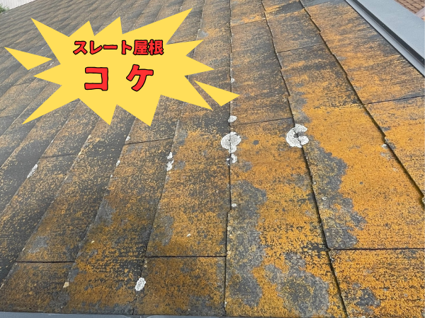 外装屋根塗装・金属屋根専門店シャイン