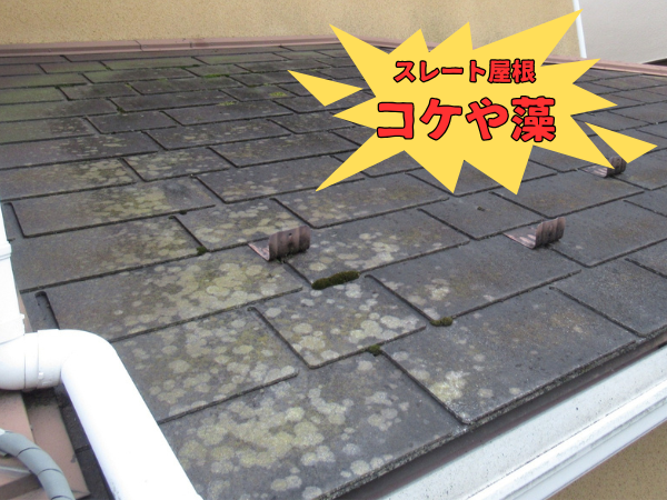 外装屋根塗装・金属屋根専門店シャイン