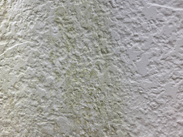 柏市外壁屋根塗装のシャイン　現地調査