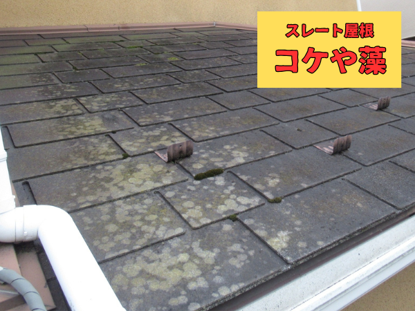 柏市　シャイン　外壁塗装　外壁屋根塗装　現地調査　建物診断　直貼り工法　通気工法　難付着サイディング　棟板金　チョーキング　塗れない屋根　パミール　コロニアル　積水ハウス　ガスケット