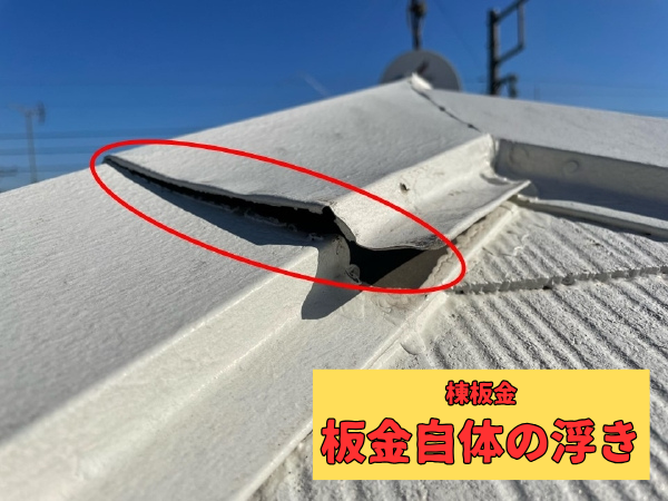 柏市　シャイン　外壁塗装　外壁屋根塗装　現地調査　建物診断　直貼り工法　通気工法　難付着サイディング　棟板金　チョーキング　塗れない屋根　パミール　コロニアル　積水ハウス　ガスケット