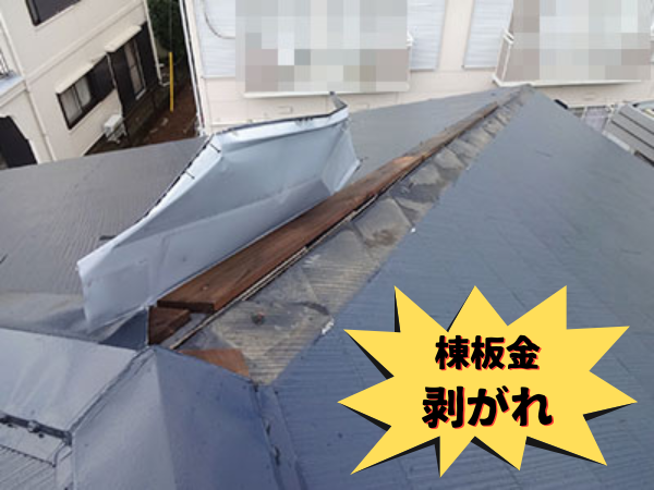 外装屋根塗装・金属屋根専門店シャイン