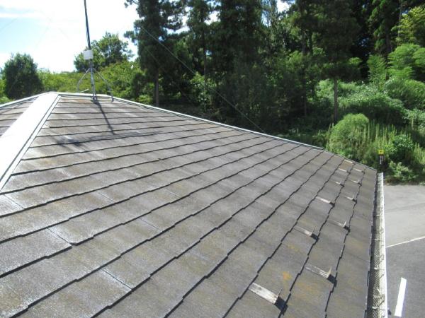 サイディング壁　外壁塗装　サイディングボード　セラコートアクア　UVプロテクトDFクリヤー　直貼り工法　通気工法　シーリング　コーキング　コロニアルNEO　屋根塗装　グランセラベスト