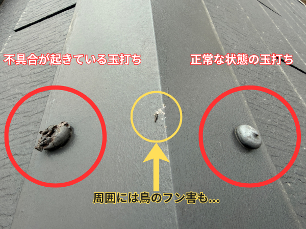 柏市外壁屋根塗装　シャイン　外壁塗装　リファイン　アステックペイント　定期点検　訪問業者　飛び込み業者　シーリング　コーキング　棟板金　屋根塗装　鳥によるシーリング不具合　ソーラーパネル