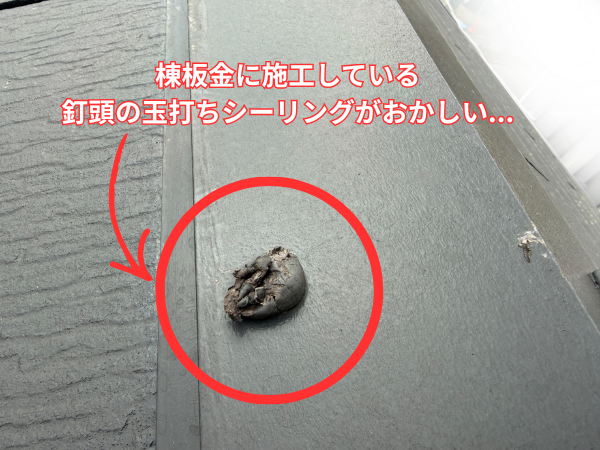 柏市外壁屋根塗装　シャイン　外壁塗装　リファイン　アステックペイント　定期点検　訪問業者　飛び込み業者　シーリング　コーキング　棟板金　屋根塗装　鳥によるシーリング不具合　ソーラーパネル