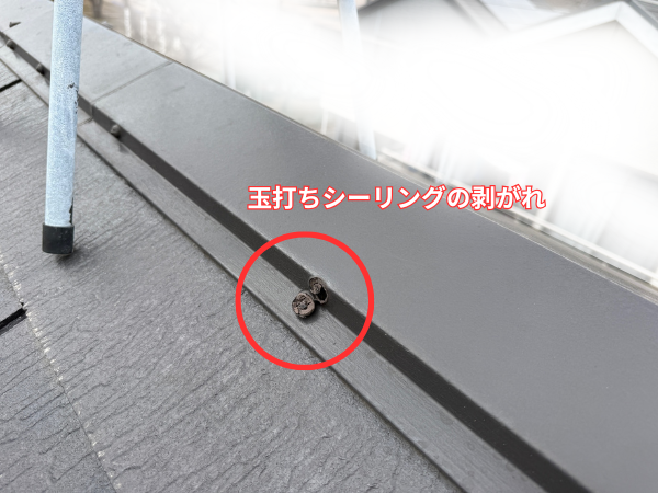 柏市外壁屋根塗装　シャイン　外壁塗装　リファイン　アステックペイント　定期点検　訪問業者　飛び込み業者　シーリング　コーキング　棟板金　屋根塗装　鳥によるシーリング不具合　ソーラーパネル